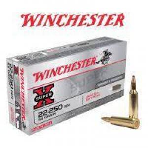Winchester Super X 22-250 55gr Ammunition?>