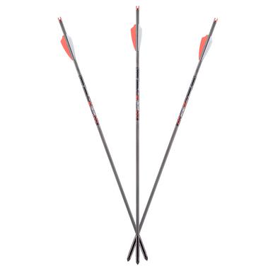 AXE Crossbow Bolts, 19", 6 pack?>
