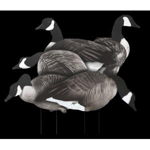 White Rock Printed Canada Goose Silhouettes - Dozen?>