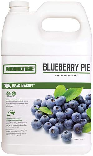 MOULTRIE BLUEBERRY PIE?>