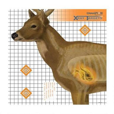 Champion Deer X-Ray Target 25"x25" 6 Pack?>