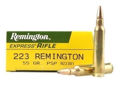 Remington 223 Rem 55gr PSP Box of 20?>
